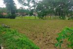 thumbnail-tanah-lahan-sawah-properti-4