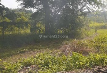 Tanah Tembalang Burangrang Dekat Kampus Undip Tembalang