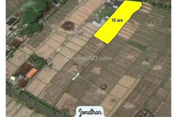 Disewakan Tanah Cemagi Cukup Jalan Kaki Ke Pantai Llme