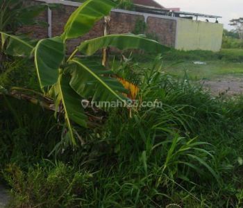 Dijual Tanah Pekarangan Dekat Kampus Umy di Yogyakarta