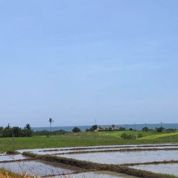 Tanah di pantai beraban Selemadeg tabanan