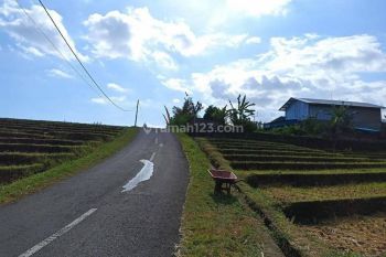 Dijual Sebidang Tanah Lokasi Selemadeg Timur Dekat Ke Pantai Pasut Tabanan