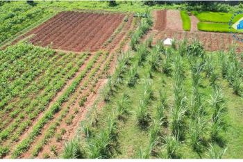 Jual Tanah Jalan Dki Ciangir, Legok Tangerang