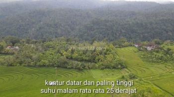 Hot List Di Jual Tanah View Laut Lokasi Lumbung Tabanan