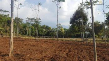 Tanah Kebun Murah Cocok Untuk Perumahan di Arjasari Banjaran