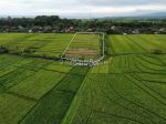 thumbnail-tanah-murah-di-kelating-tabanan-view-sawah-dan-laut-5