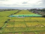 thumbnail-tanah-murah-di-kelating-tabanan-view-sawah-dan-laut-12