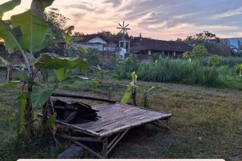 Jual Tanah Tulungagung - 4 Menit Kampus UIN SATU Tulungagung