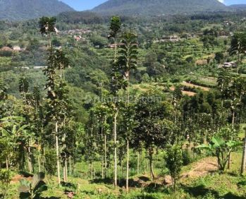 Dijual tanah view amazing baturiti bedugul tabanan bali