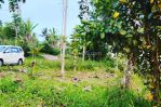 thumbnail-dijual-tanah-view-amazing-baturiti-bedugul-tabanan-bali-7