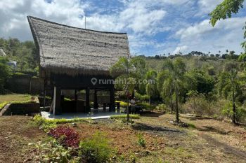 L06 Tanah di Temukus, Buleleng Sertifikat Hak Milik 2.400 m²