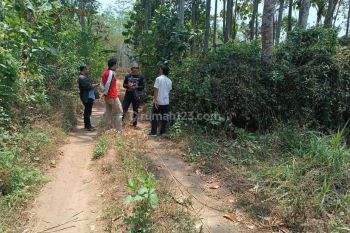 Tanah Durian Murah Banget di Malang Raya