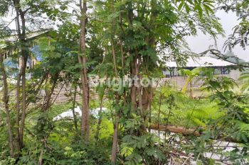 Tanah peternakan Pungging Mojosari