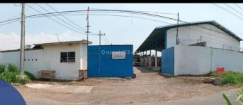 Pabrik Veneer di Kaliwates Jember Jawa Timur HGB