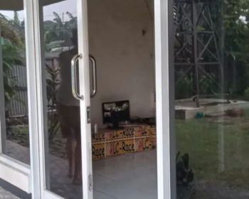 Di sewakan gudang lt 1100mt lb700mt akses kontener 40fit