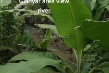 TANAH LOS SUNGAI VIEW JUNGLE KEREN DI UBUD AREA