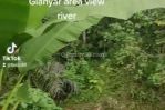 thumbnail-tanah-los-sungai-view-jungle-keren-di-ubud-area-5