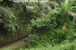 thumbnail-tanah-los-sungai-view-jungle-keren-di-ubud-area-1