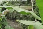 thumbnail-tanah-los-sungai-view-jungle-keren-di-ubud-area-7