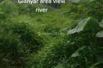 thumbnail-tanah-los-sungai-view-jungle-keren-di-ubud-area-4