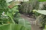 thumbnail-tanah-los-sungai-view-jungle-keren-di-ubud-area-6
