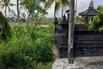 Tanah Kavling Disewakan Siap Bangun, Area Tabanan