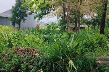 Tanah Gondang Bulusan Undip Tembalang Semarang