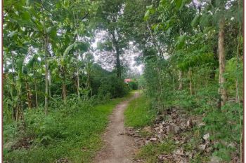 Tanah Jogja Bantul Dekat Griya Tamansari Dekat Kantor Kecamatan Piyungan