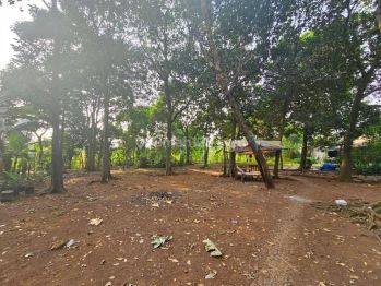 TANAH MURAH  - LUAS 8100 M2 HARGA 2 JUTA PER METER -