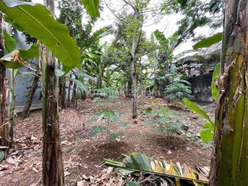 Tanah Darat Murah Luas 425m² di Cireundeu Akses 12 Menit ke MRT Lebak Bulus