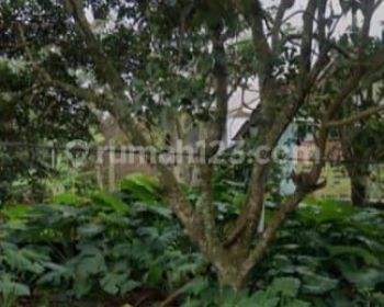 Tanah Mangunsari Gunungpati 6 Menit Kampus Unnes, Siap Bangun