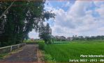 thumbnail-tanah-jogja-sleman-nego-tanpa-ribet-tanah-jogja-selomartani-1