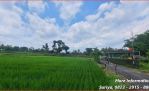 thumbnail-tanah-jogja-sleman-nego-tanpa-ribet-tanah-jogja-selomartani-4