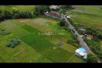 thumbnail-tanah-kavling-villa-di-canggu-area-harga-murah-4