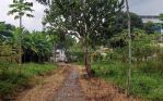 thumbnail-tanah-kavling-villa-di-canggu-area-harga-murah-0