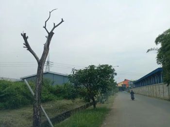 Tanah dlm kawasan industri super premium di Sentul, Bogor (GA20120-CS)