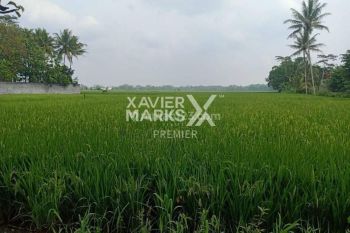 Murah, Tanah Luas Siap Bangun di Raya Golek Karang Duren, Pakisaji Malang