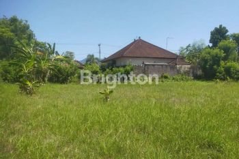 Tanah seluas 8,20 Are (820 M2) berlokasi di Jl.Pulau Singkep desa Dauh Waru Bali