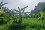 thumbnail-tanah-seluas-820-are-820-m2-berlokasi-di-jlpulau-singkep-desa-dauh-waru-bali-5