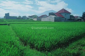 Tanah murah di karanglo malang