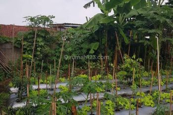 Jual Lahan Kebun di Mainroad Cisarua