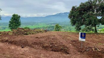 TANAH DIJUAL LUAS 486 M² SHM DEKAT JALAN RAYA PROVINSI