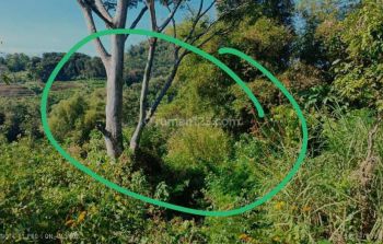 Tanah Luas Dan Murah Cocok Untuk Bisnis Lokasi di Batu