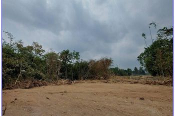 Tanah Jogja Sleman Dekat Kopi Tebu Dekat Museum Merapi