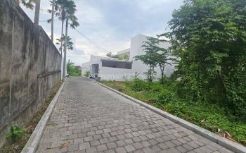 Tanah kayu tulang canggu