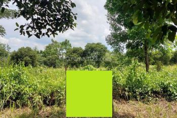 Cepat Kavling Simpruk 2 Lippo Cikarang