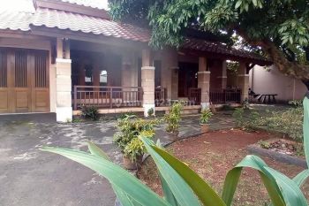 Rumah Cakep, Teduh, Nyaman, Pekarangan Luas, Akses Mudah