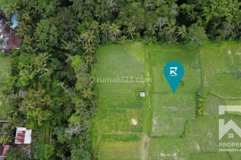 Land For Sale Leasehold With Ricefield View In Pejeng Bali