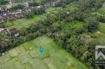 thumbnail-land-for-sale-leasehold-with-ricefield-view-in-pejeng-bali-3