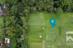thumbnail-land-for-sale-leasehold-with-ricefield-view-in-pejeng-bali-0